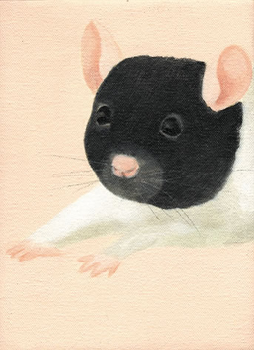 rata