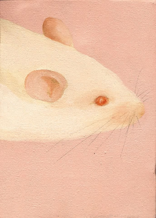 rata